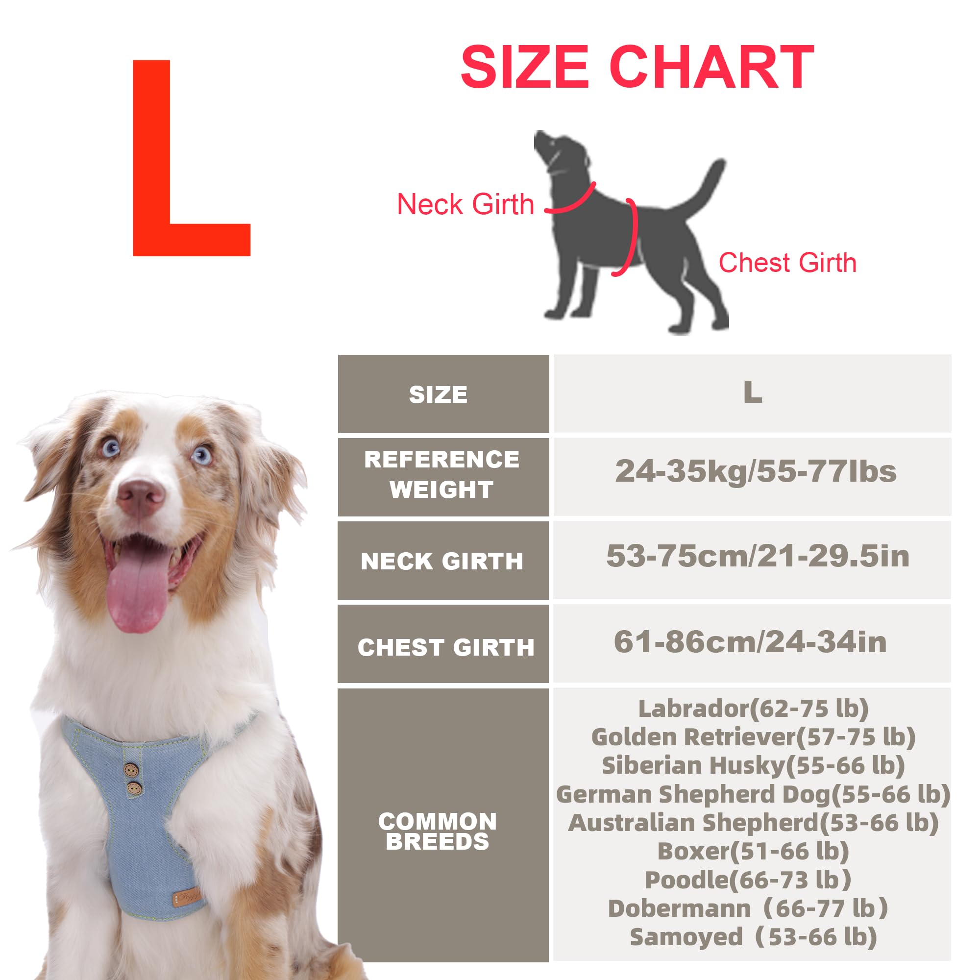 Puppytie correa versátil con dos longitudes para paseos adaptables