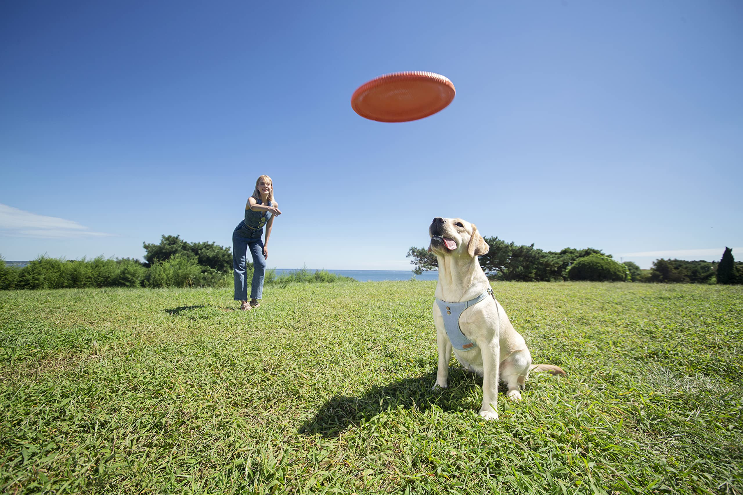 Correa Puppytie multifuncional ajustable para paseo y entrenamiento.