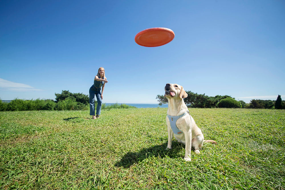 Correa Puppytie multifuncional ajustable para paseo y entrenamiento.