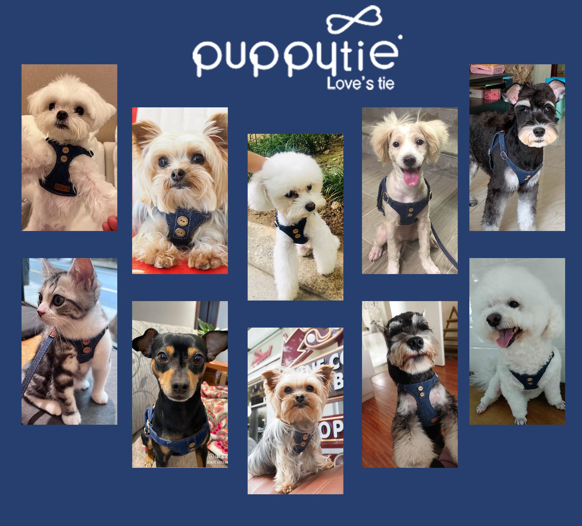 Puppytie diseño denim azul con chaleco cómodo para uso diario.