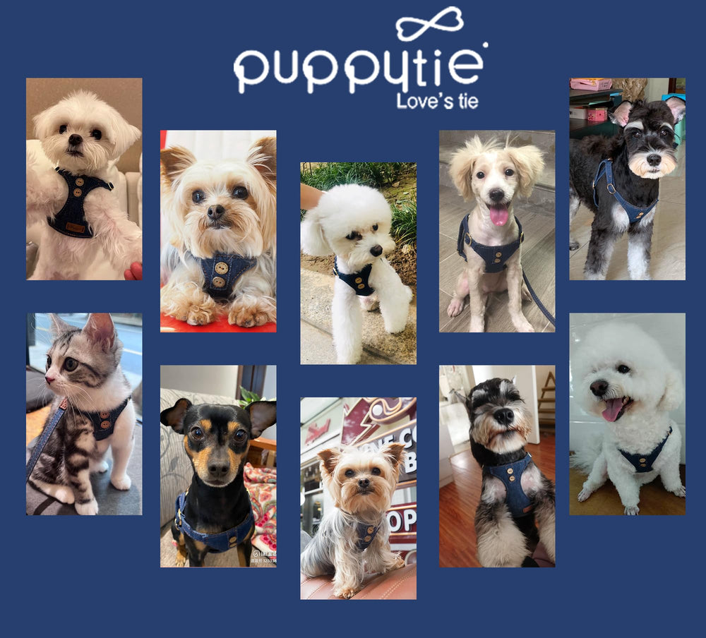 Puppytie diseño denim azul con chaleco cómodo para uso diario.