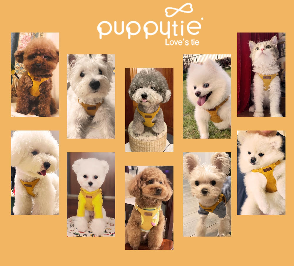 Empaque regalo incluido para presentar el producto Puppytie.