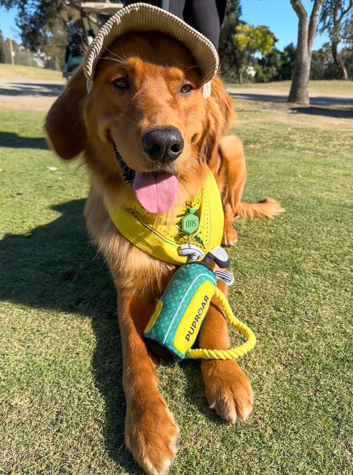 PUPROAR Juguete para perro con cuerda duradera para tirar y buscar.