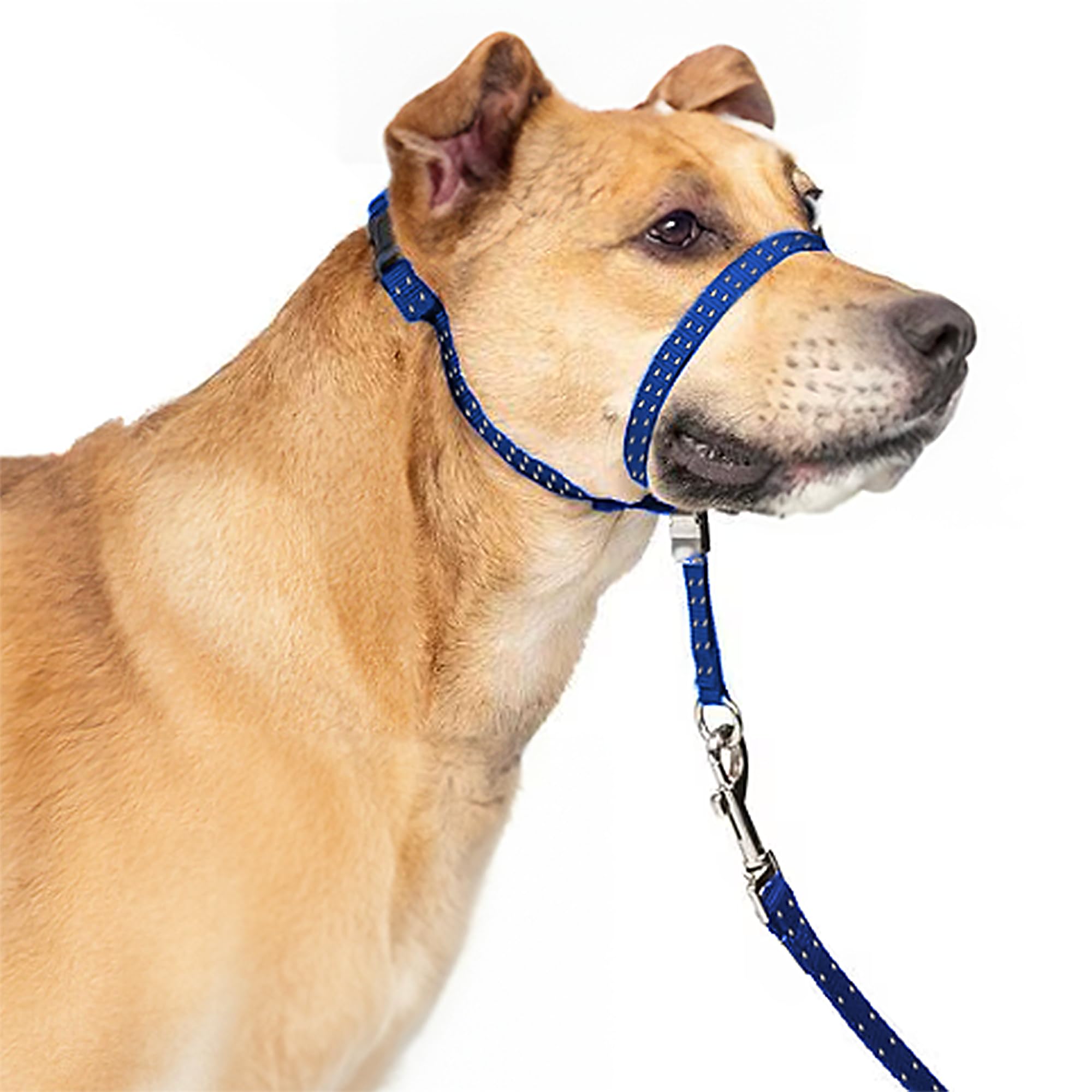 PupSensei collar de cabeza acolchado azul marino para paseos cómodos y seguros.