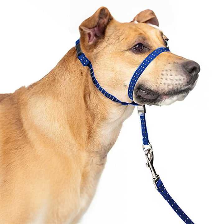 PupSensei collar de cabeza acolchado azul marino para paseos cómodos y seguros.