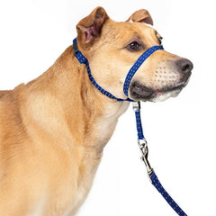PupSensei collar de cabeza acolchado azul marino para paseos cómodos y seguros.