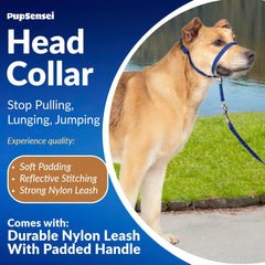 PupSensei collar de cabeza reflectivo para mejor visibilidad nocturna.