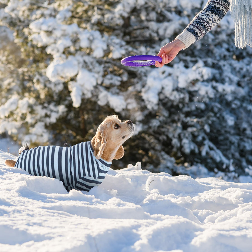 Pupsooft pijama de invierno para perro azul textura terciopelo suave.