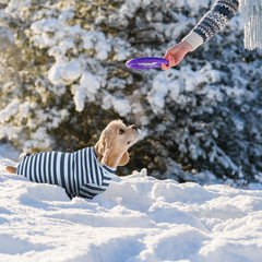 Pupsooft pijama de invierno para perro azul textura terciopelo suave.