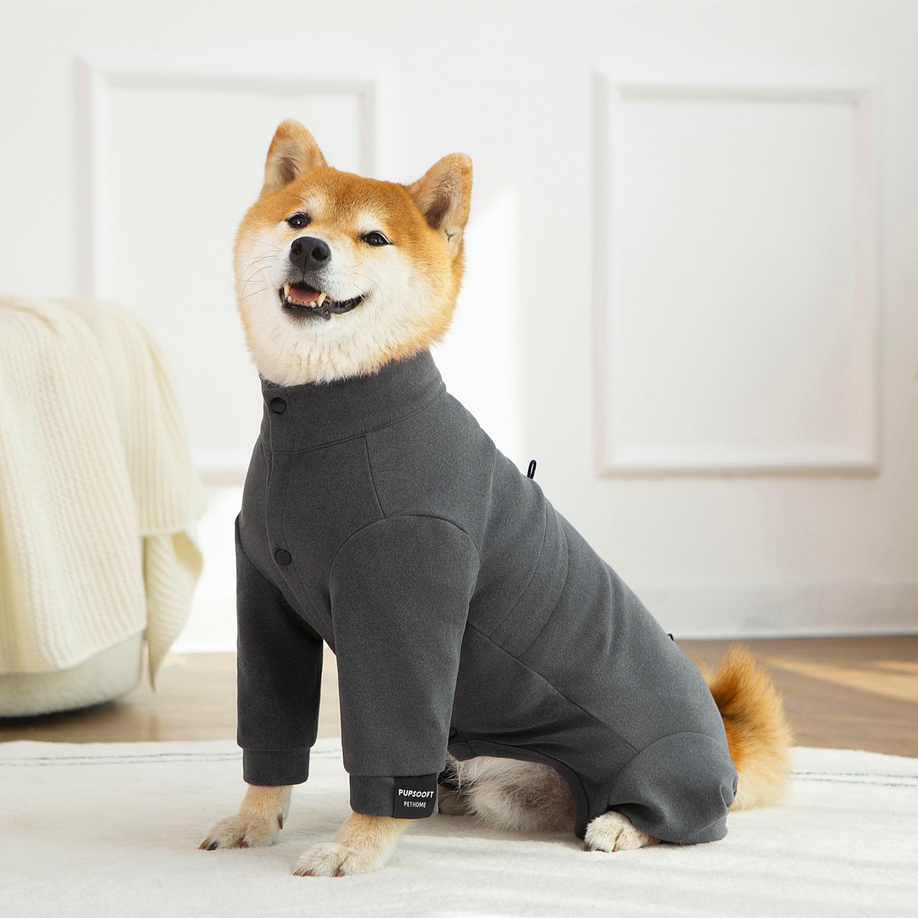 Pupsooft guía de tallas para perros pequeños, medianos y grandes.