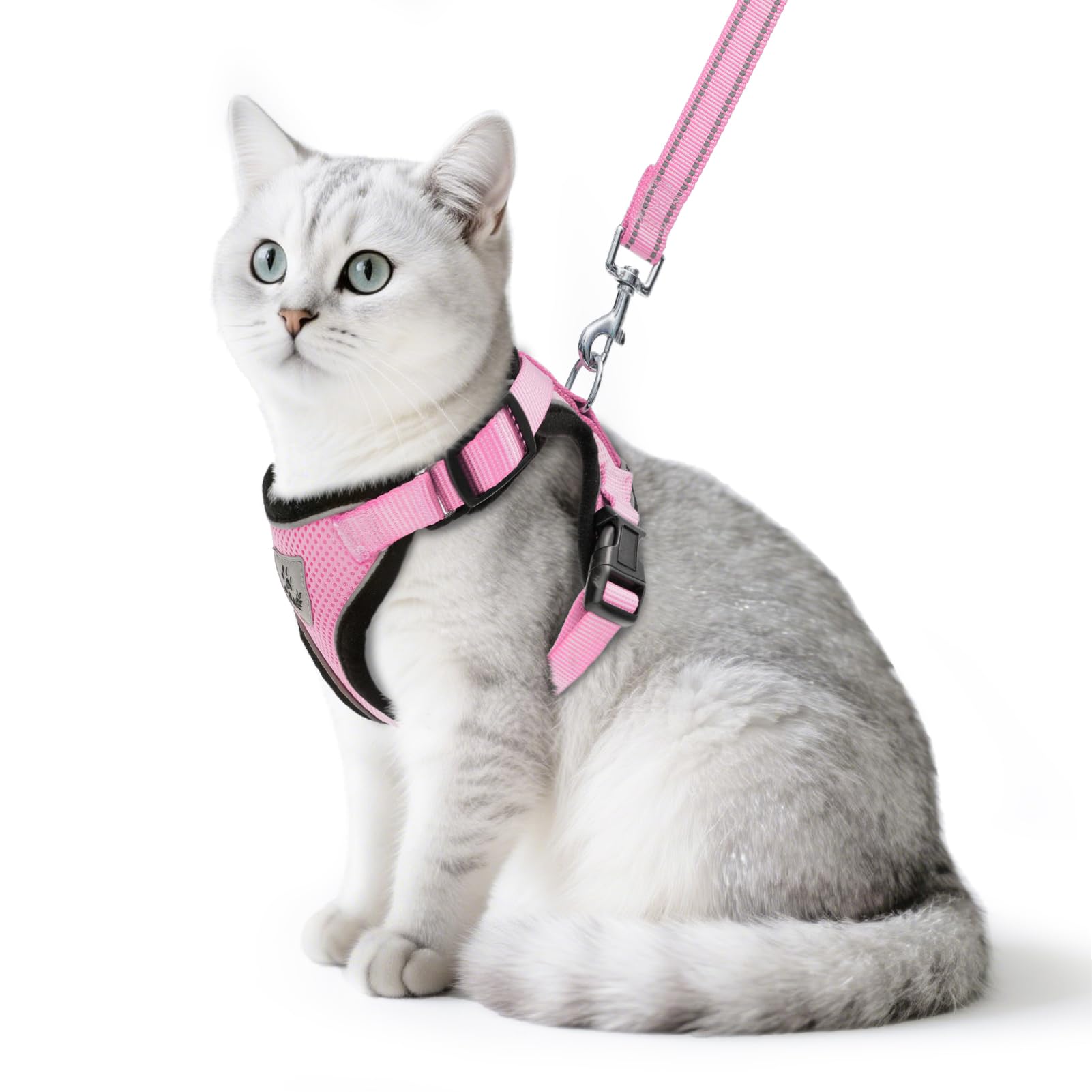 Arnés PUPTECK para gatos: paseo cómodo y seguro.