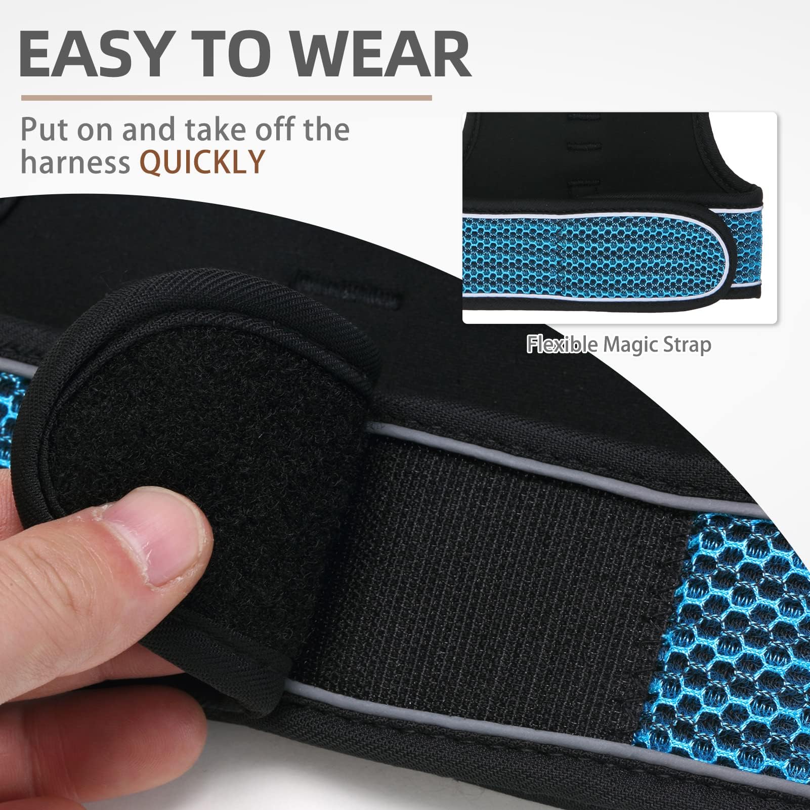 PUPTECK Correa ajustada azul lago, ideal para paseos seguros.