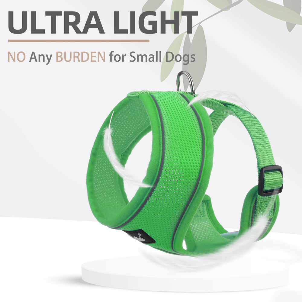 PUPTECK guía de tallas en verde para un ajuste cómodo