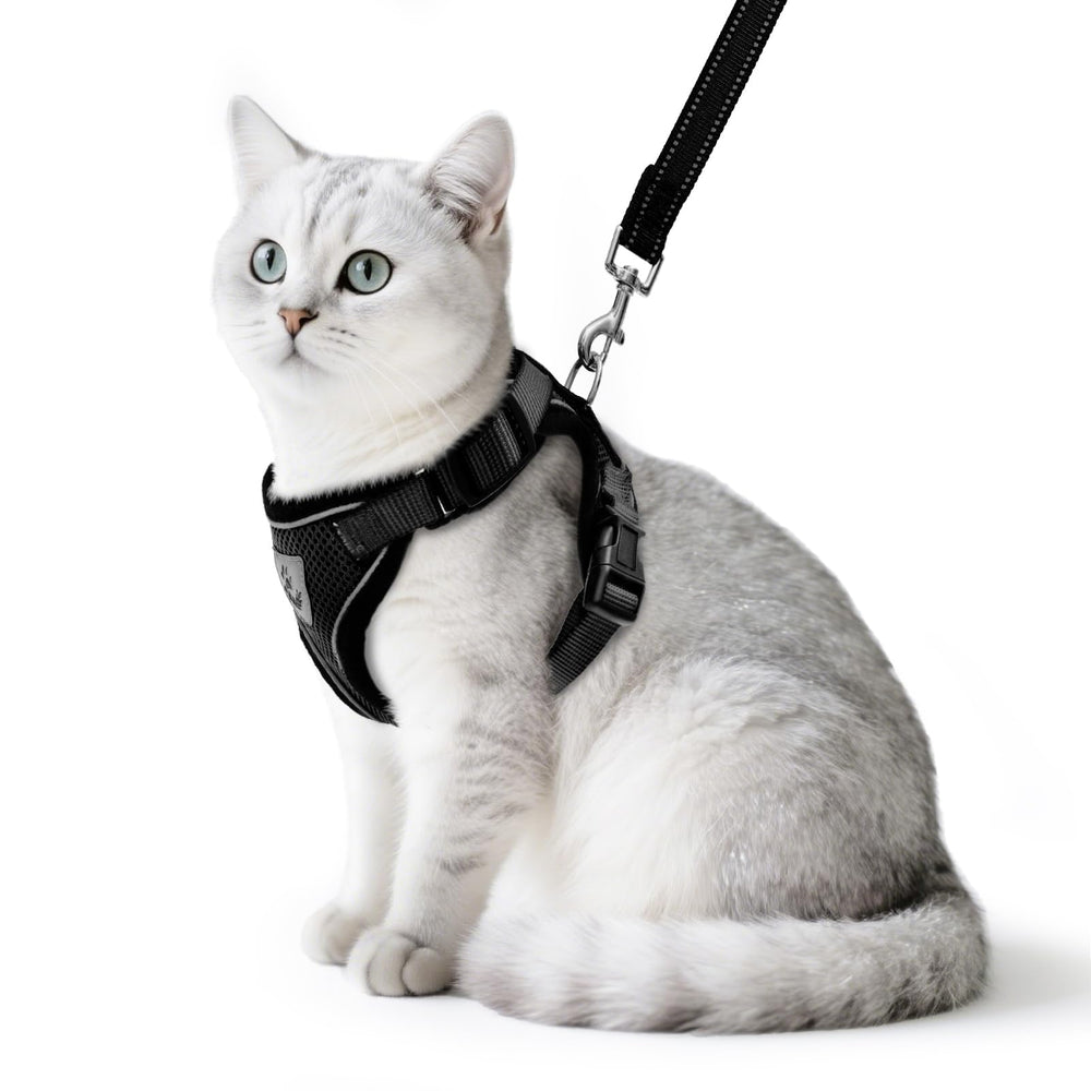 PUPTECK arnés para gato con reflectante y ajuste para paseos seguros.