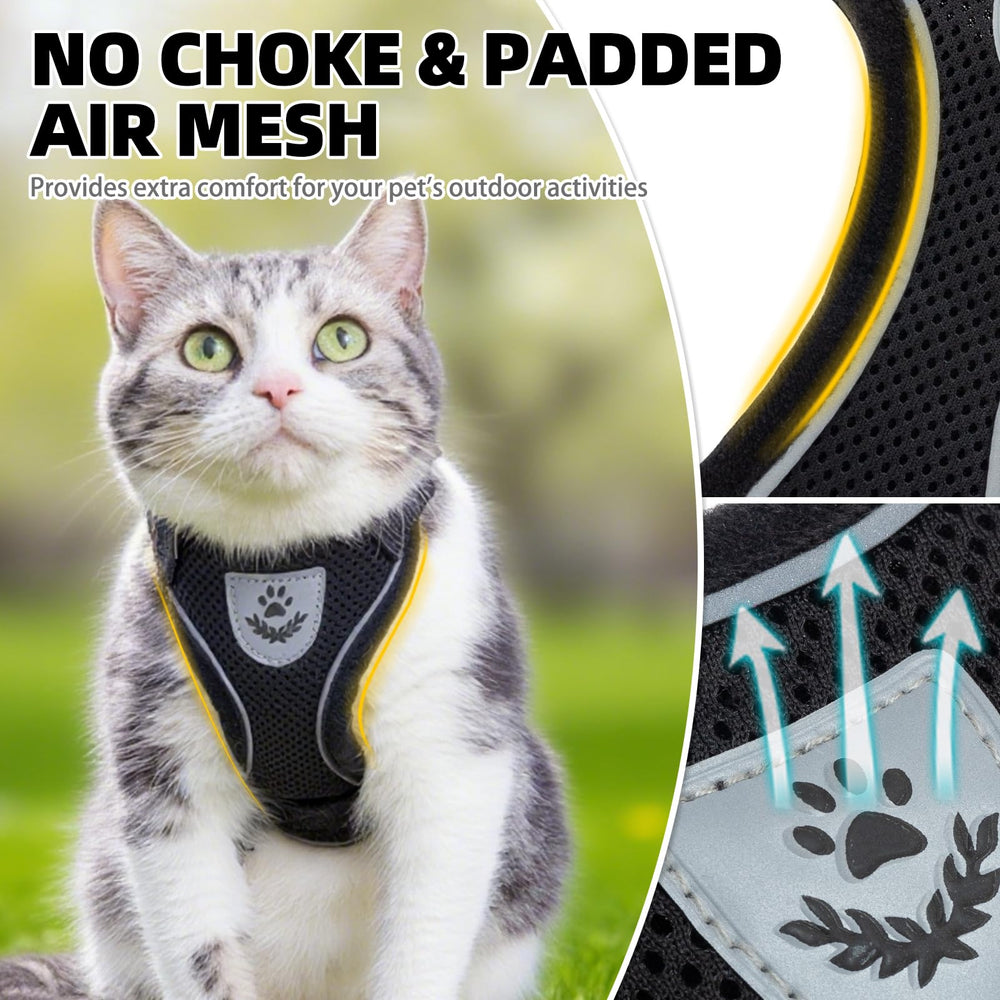 Correa larga de PUPTECK para gato, ideal para explorar con libertad segura.