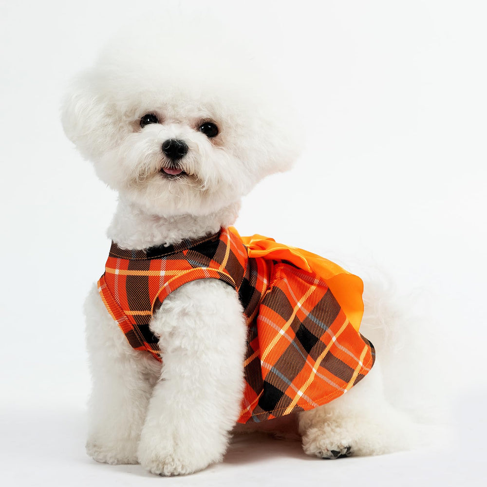 PUPTECK vestido versátil para paseos o fiestas, uso diario recomendado.