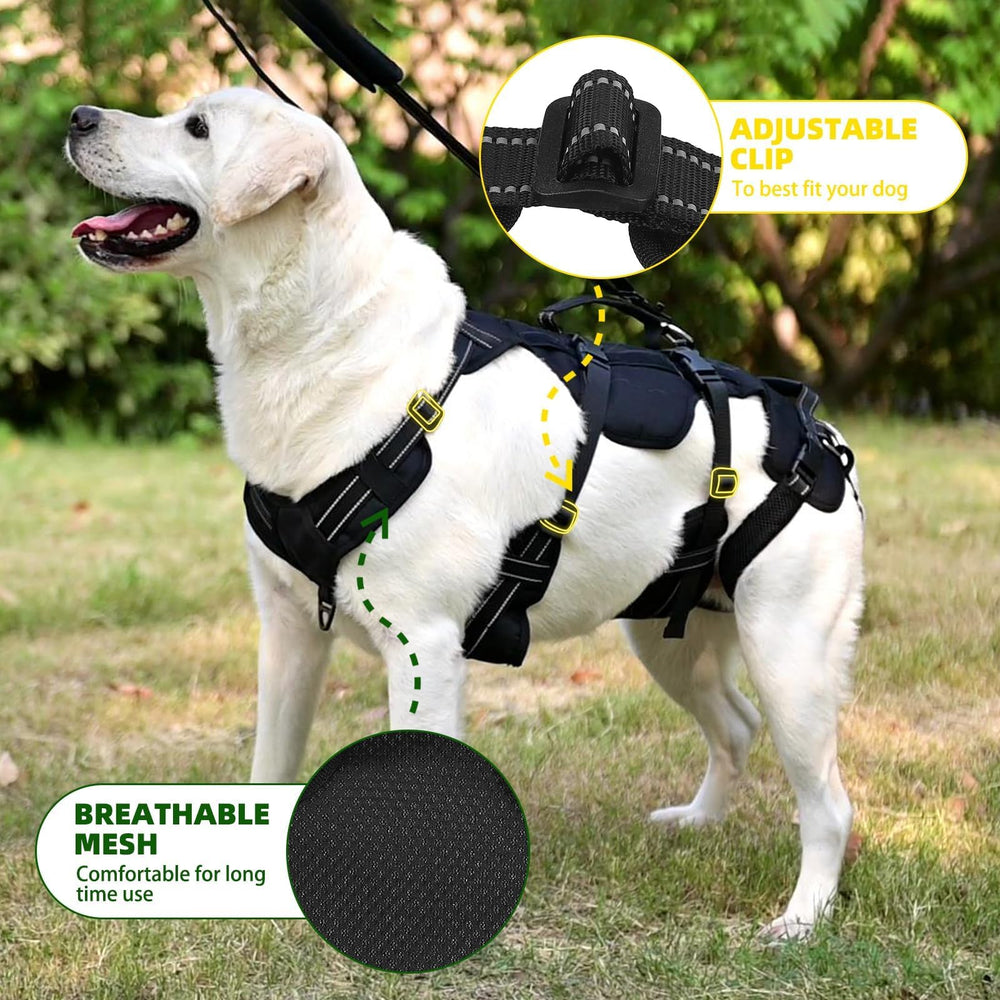 PUPTECK guía de talla L con ajuste seguro para perro