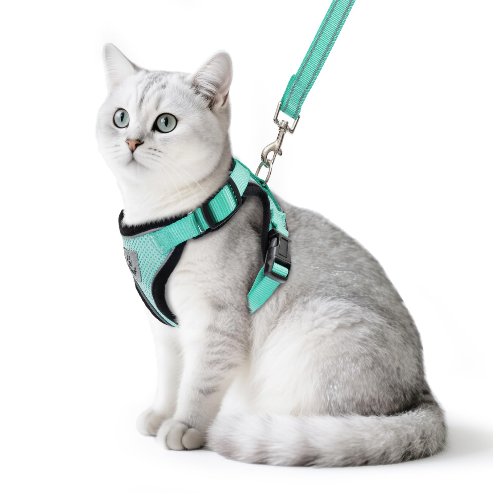 PUPTECK arnés para gato a prueba de escape, ideal para paseos seguros