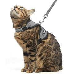 PUPTECK arnés gato reflectante con ajuste cómodo para paseos nocturnos.