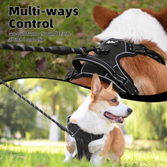 PUPTECK arnés muestra asa de contención ergonómica para manejo cómodo.