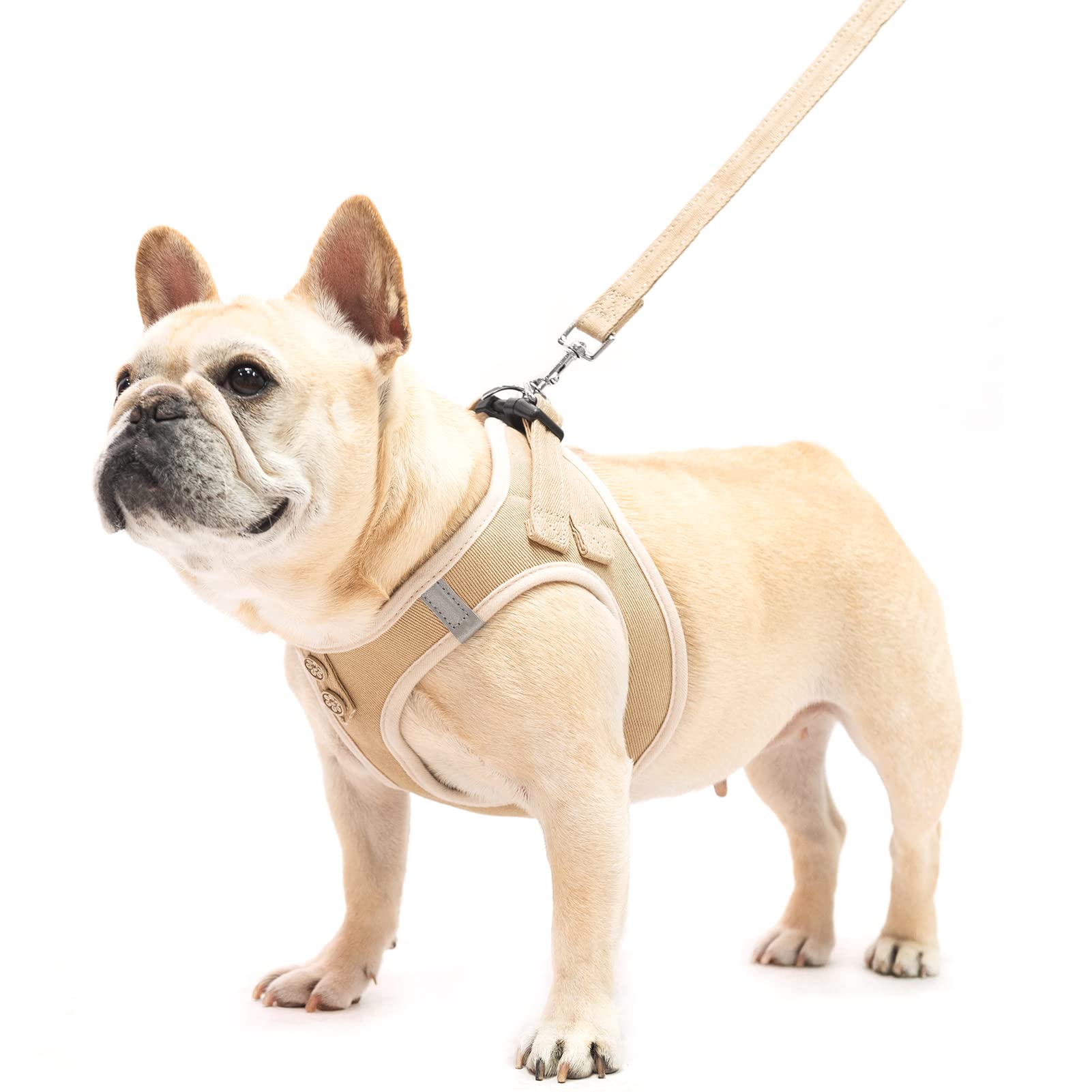 arnes pupteck fácil de vestir para perros activos