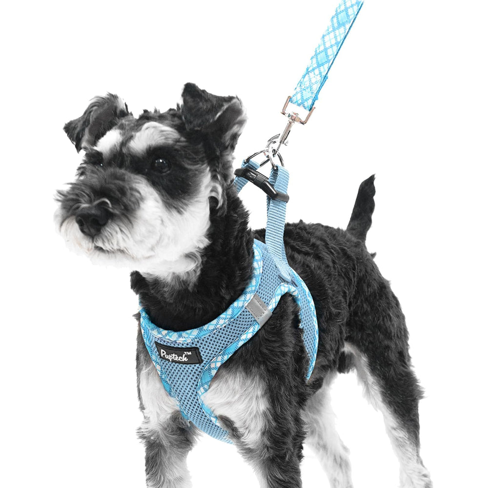 PUPTECK arnés para perro pequeño ergonómico para paseos