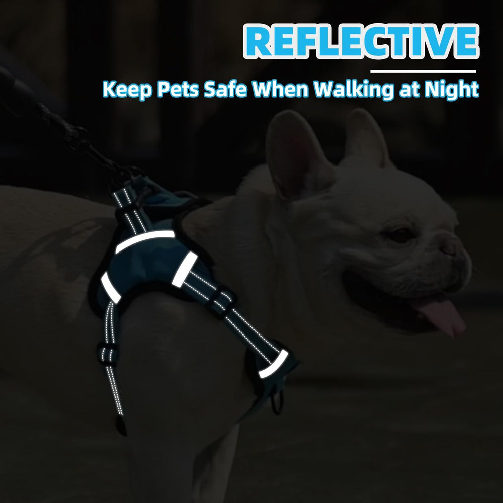 Arnés Puptech de uso diario para perros pequeños y activos.