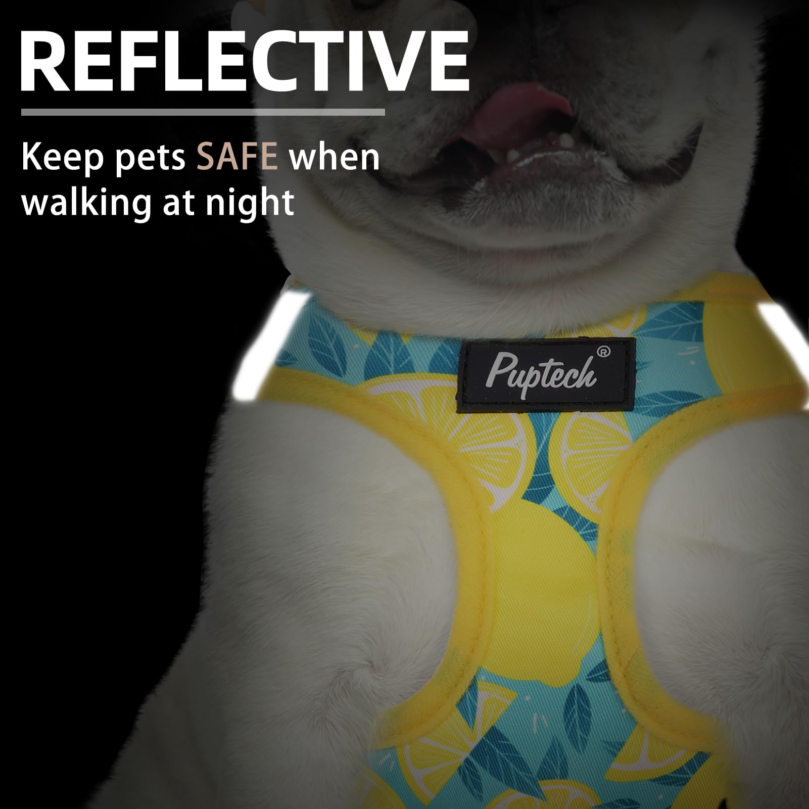 PUPTECK banda reflectiva para uso nocturno, aumentando la visibilidad.