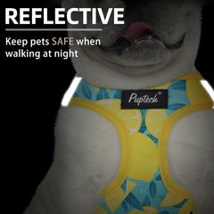 PUPTECK banda reflectiva para uso nocturno, aumentando la visibilidad.