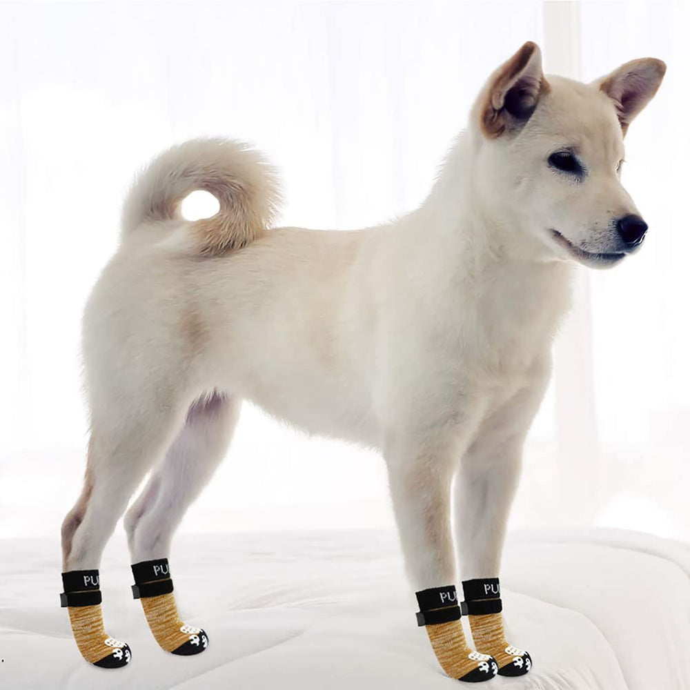 PupTech calcetines para perros mayores: ayuda a movilidad diaria