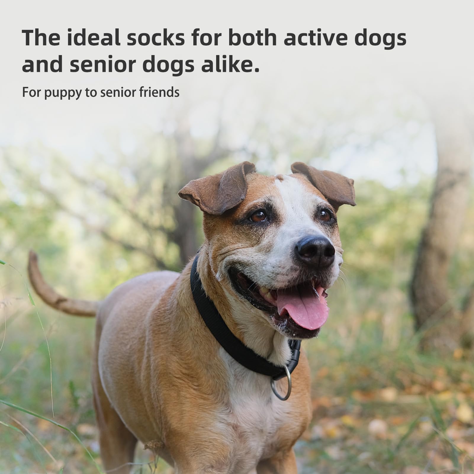 Protege patas y muebles: PUPTECK para uso en casa.