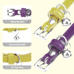 Detalle de campanilla y cierre ajustable del collar PUPTECK