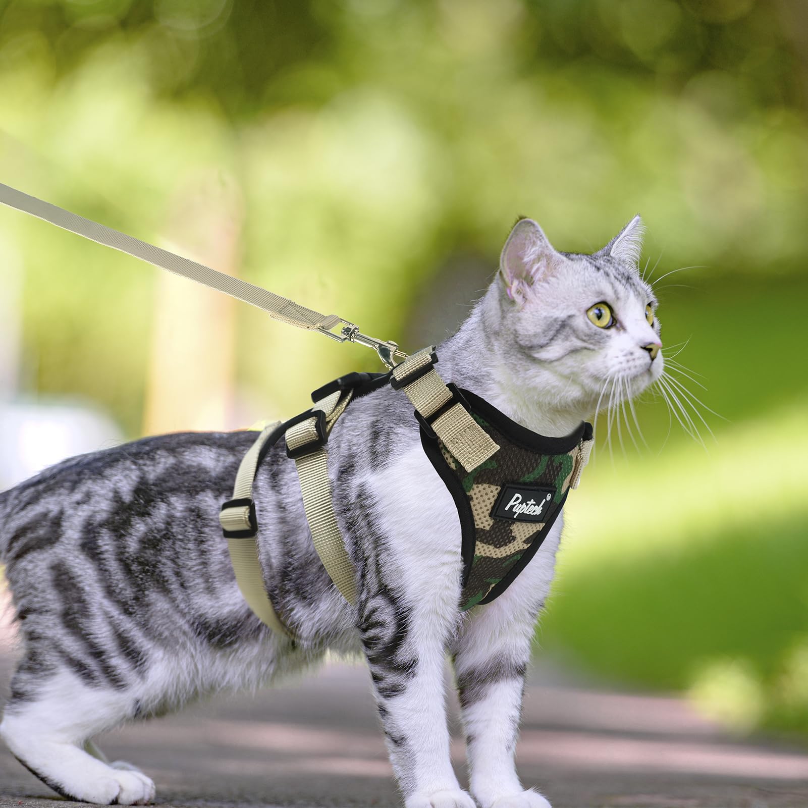 Arnés PUPTECK para gatos y mascotas pequeñas, ideal para paseo