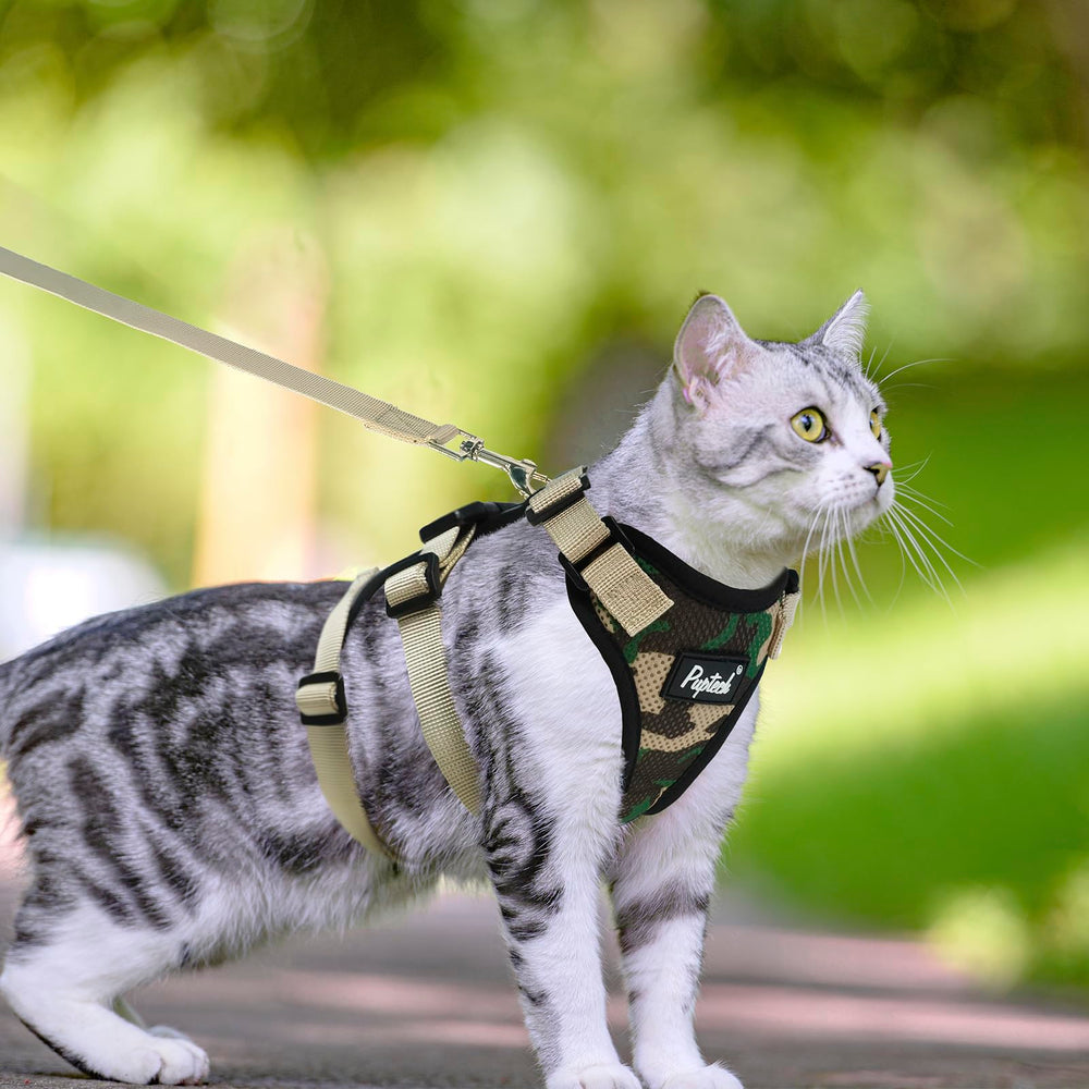 Arnés PUPTECK para gatos y mascotas pequeñas, ideal para paseo