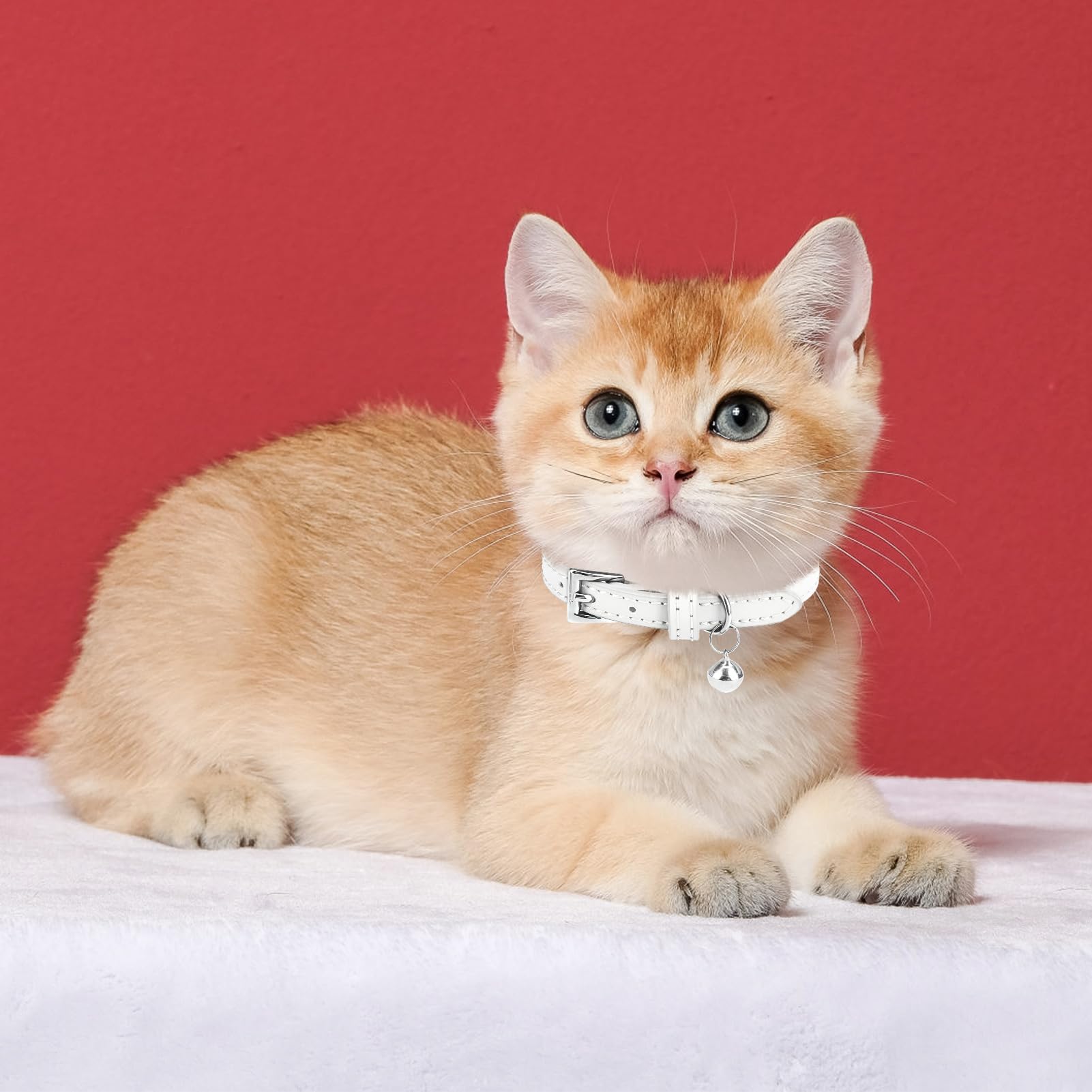 PUPTECK collar cuero suave verde oscuro para gato, detalle de hebilla duradera.