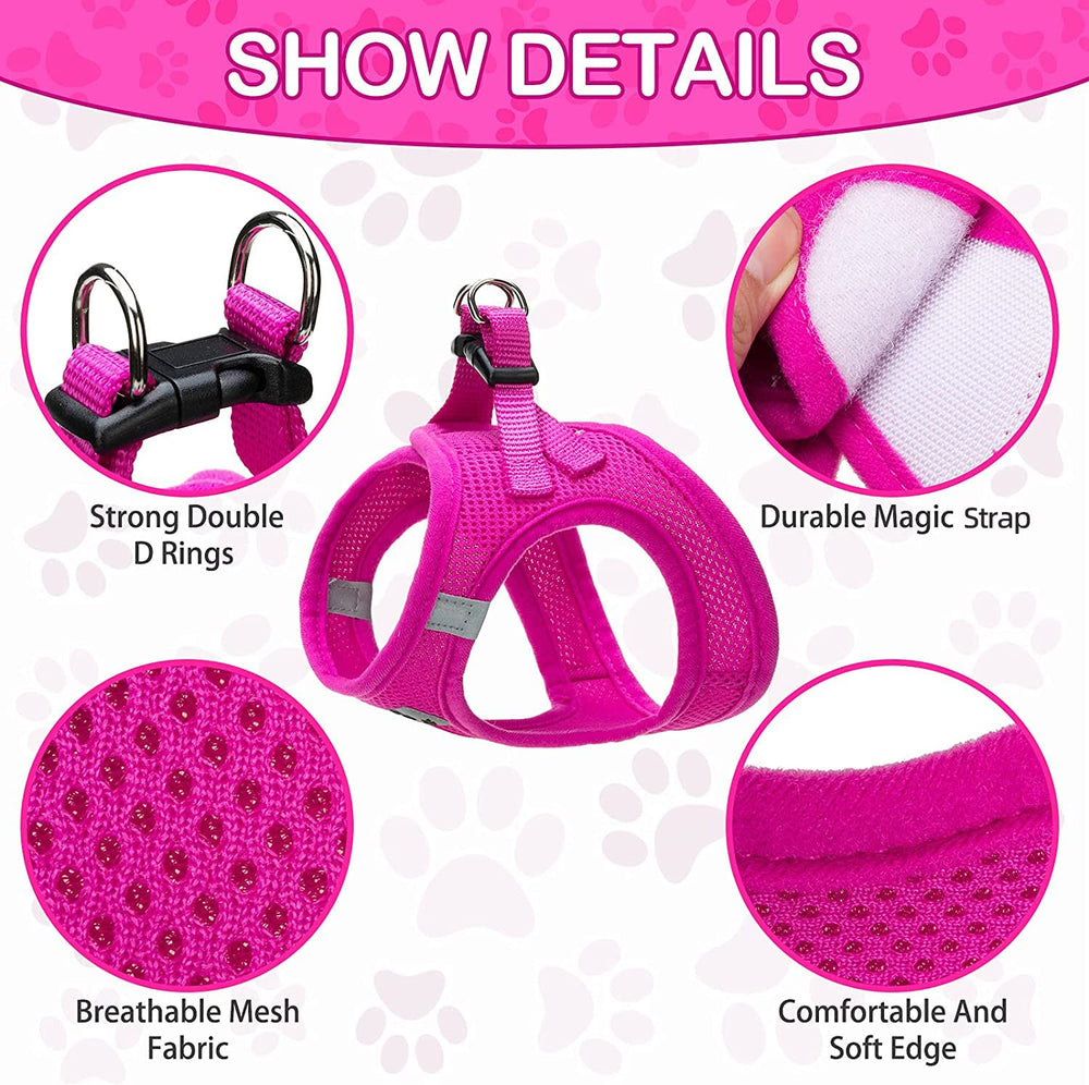 PUPTECK correa-4-9-pies longitud ideal para salidas tranquilas.