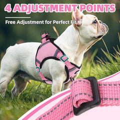 PUPTECK cuatro cintas ajustables para un ajuste perfecto.