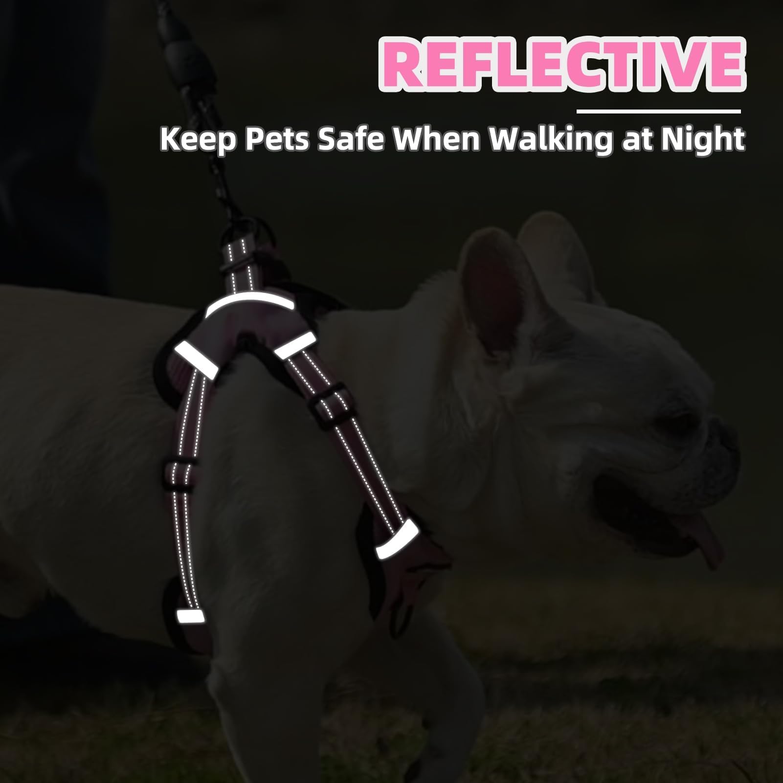 PUPTECK versión rosa en talla S para uso diario.