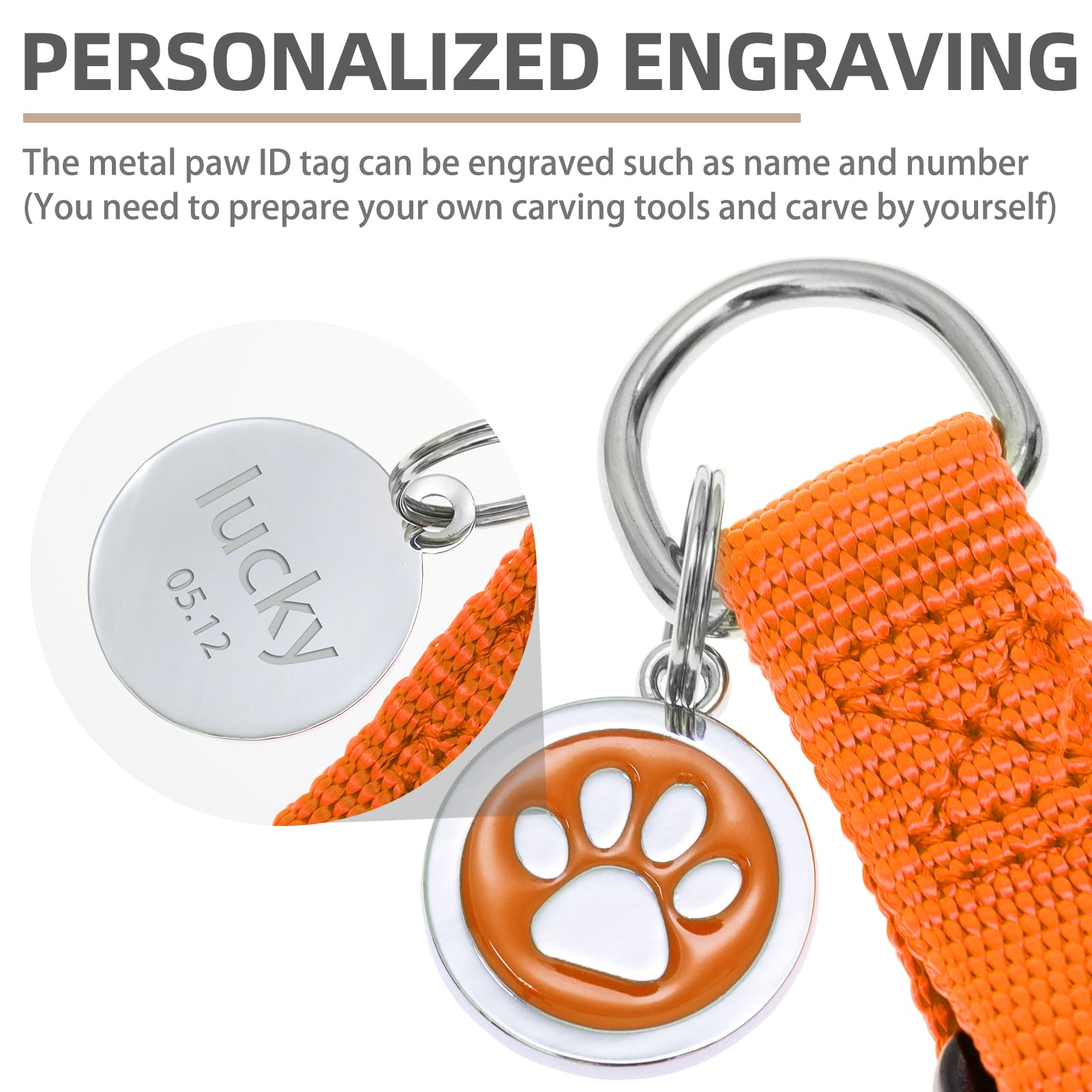 Guía de tallas PupTECK para perros con ajuste cómodo