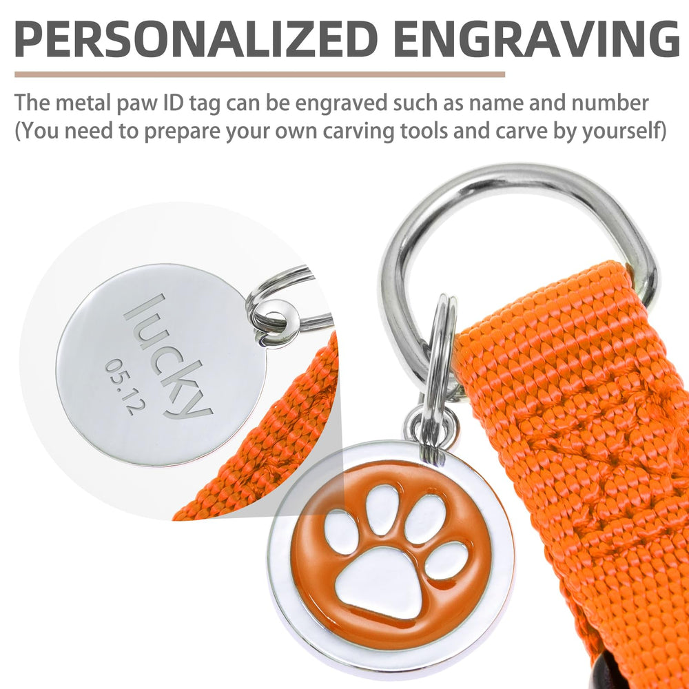 Guía de tallas PupTECK para perros con ajuste cómodo