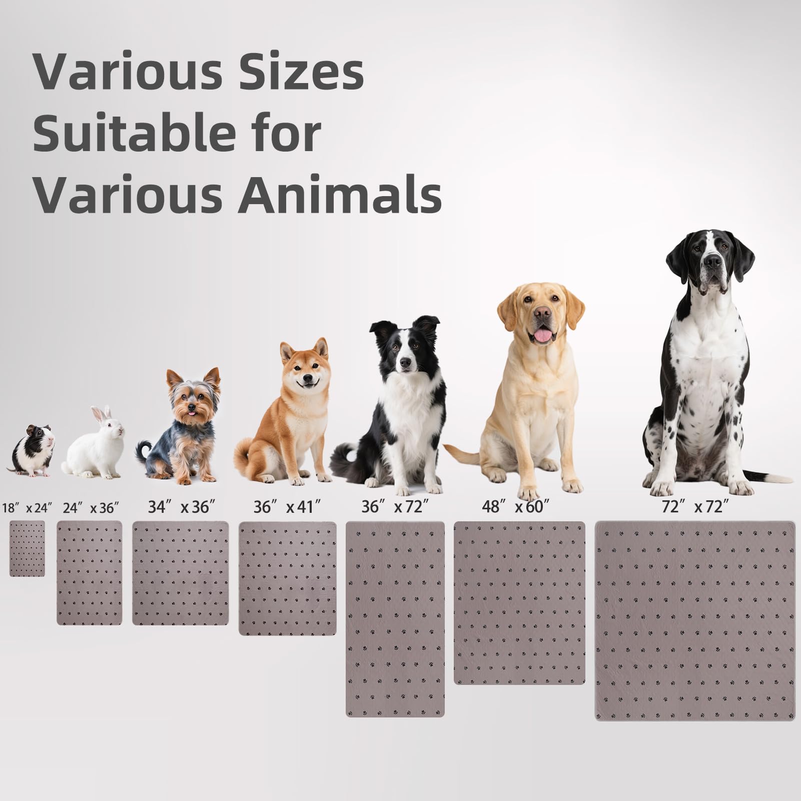 Pupteck pad absorbente rapido para orina, protege el suelo.