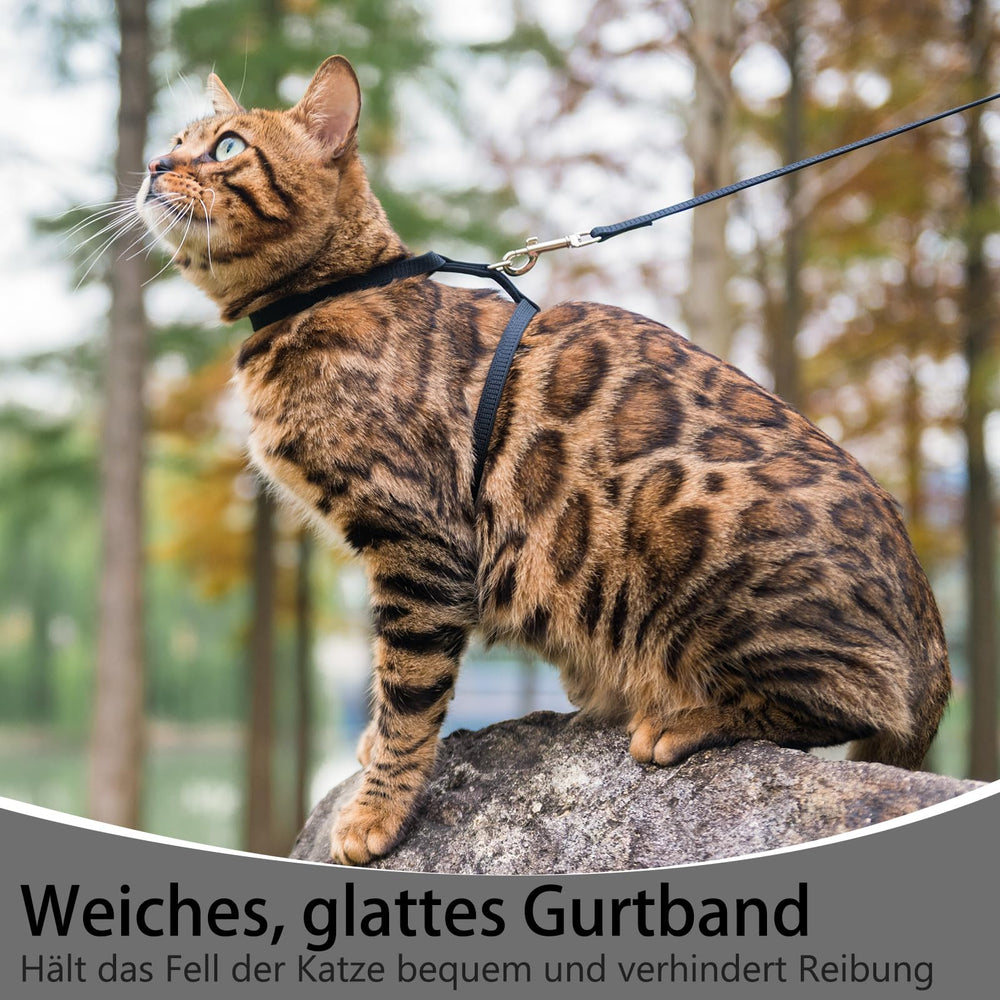PUPTECK acompaña tus salidas al aire libre con tu gato.