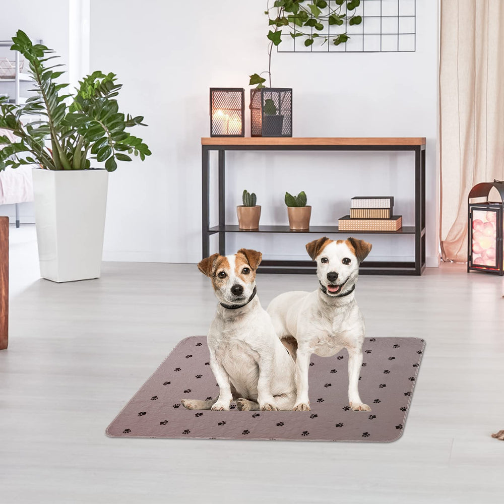 PUPTECK almohadilla lavable ideal como base para comida de mascotas