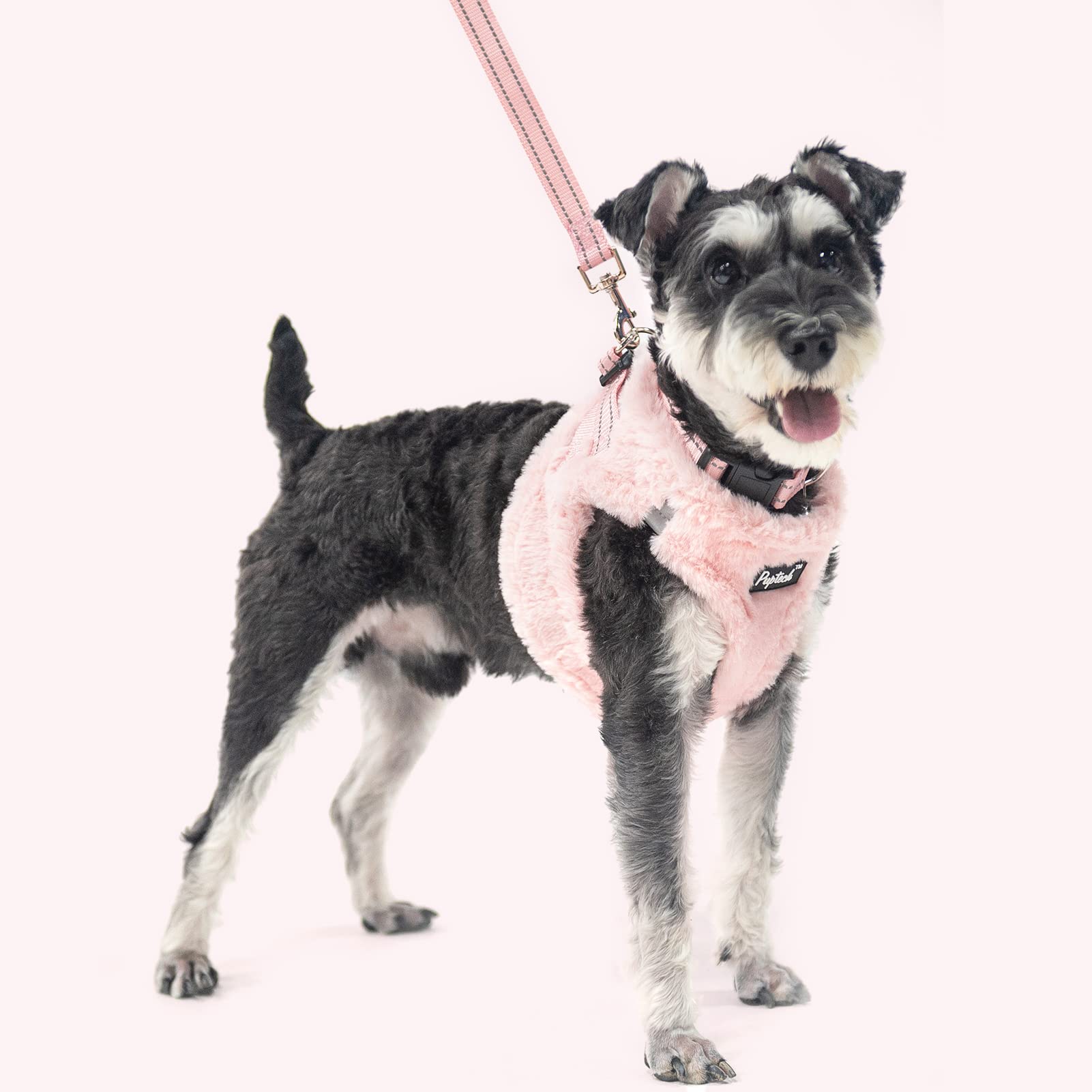 PUPTECK arnés cómodo para perros pequeños, perfecto para actividades al aire libre