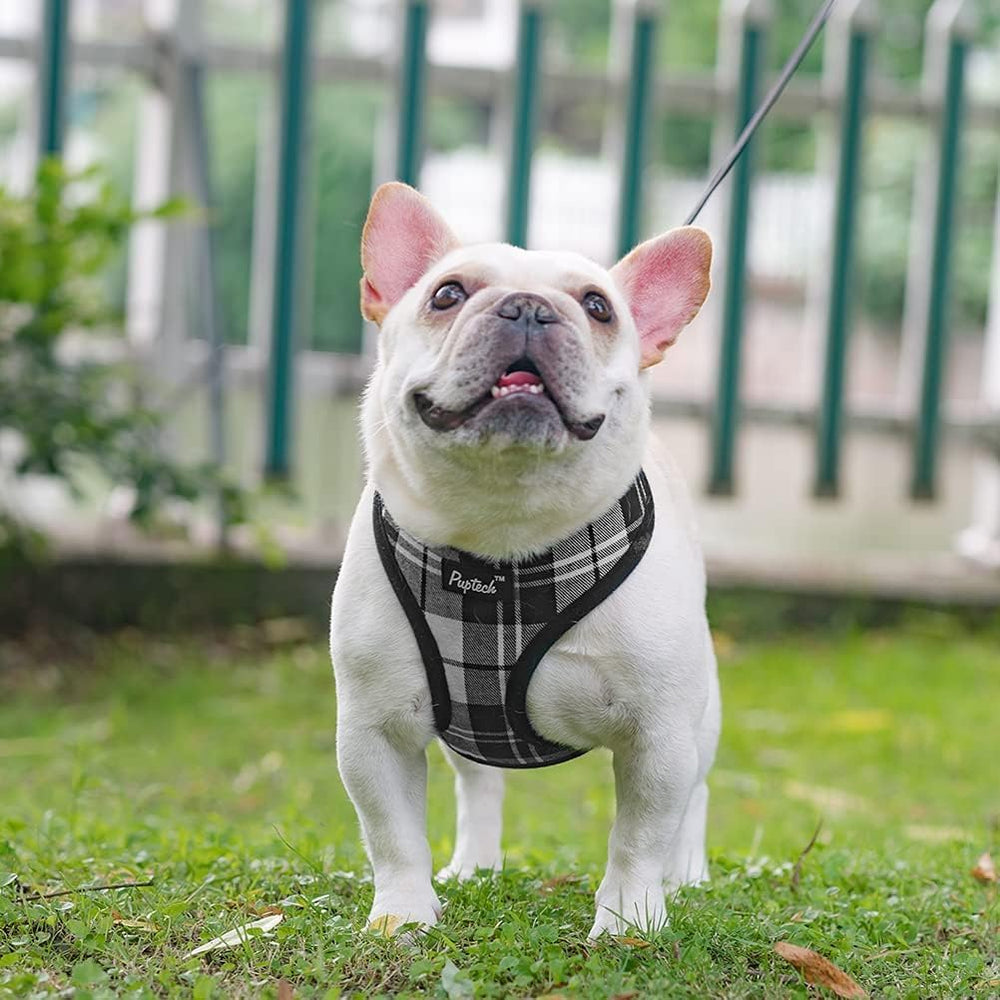 Arnés PUPTECK con ajuste suave, ligero y cómodo para uso diario.