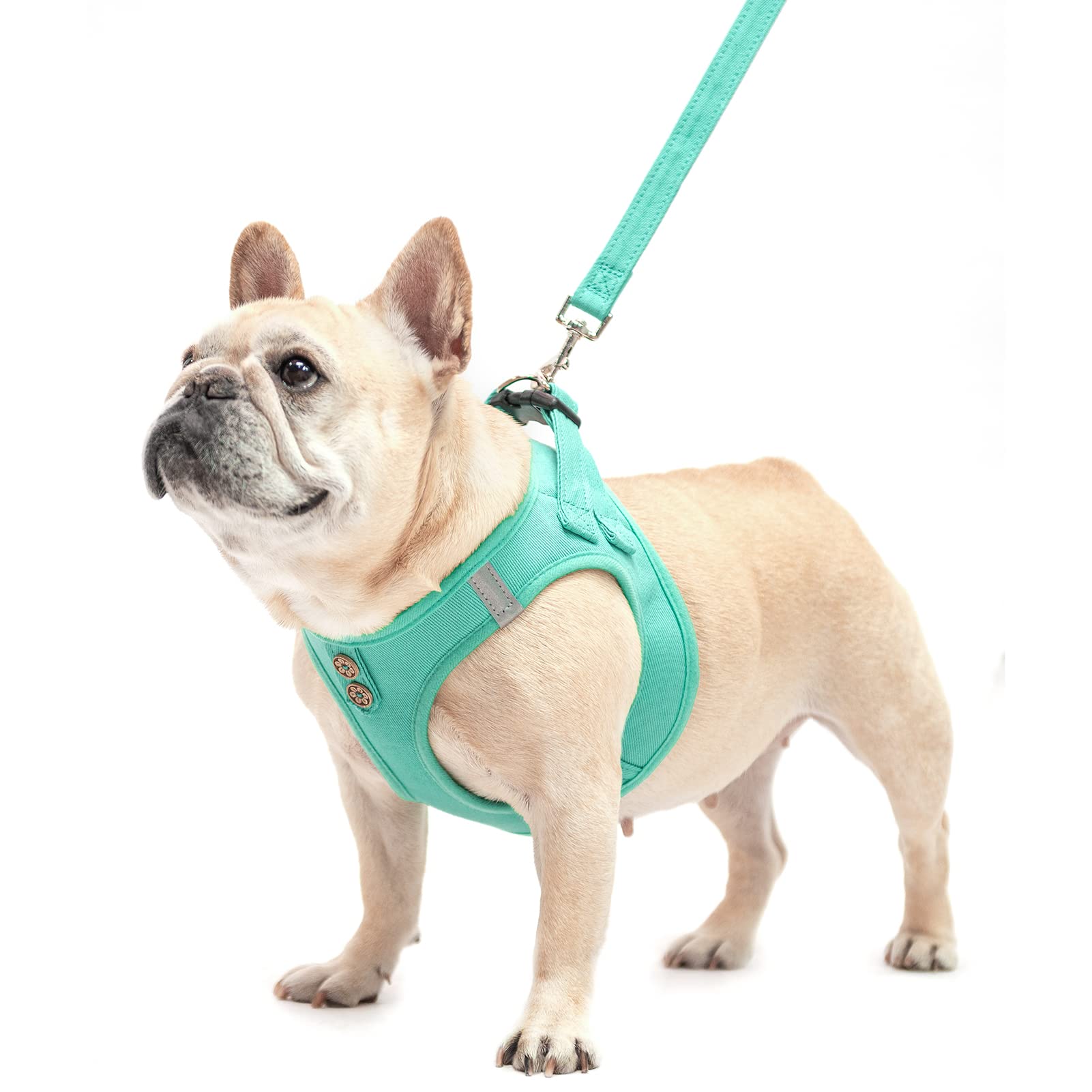 PUPTECK arnés canino vaquero verde XS costuras duraderas para paseos diarios.