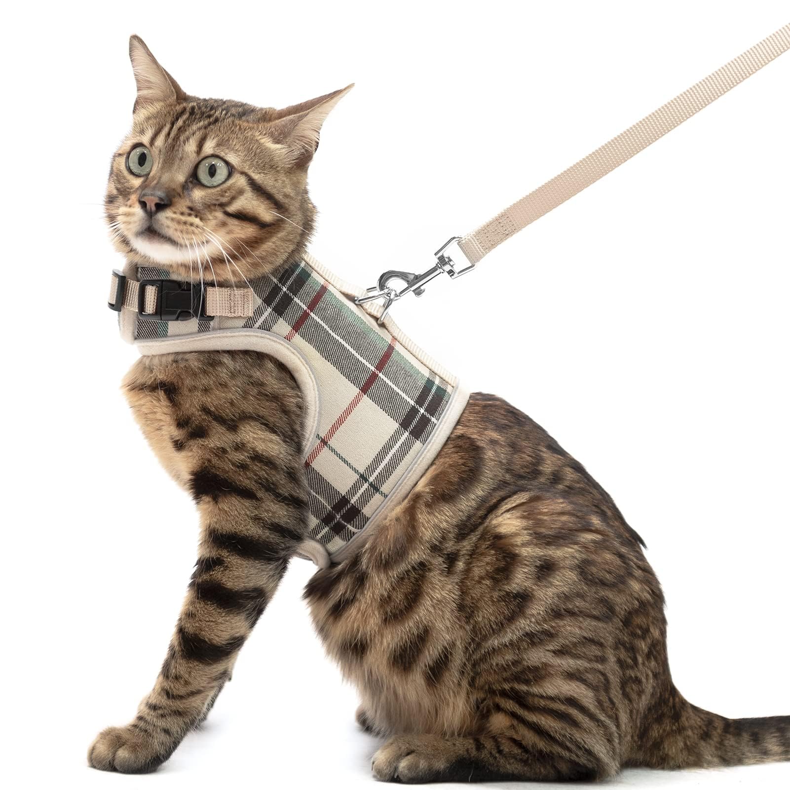 PUPTECK arnés chaleco para gato, malla suave y transpirable para paseos
