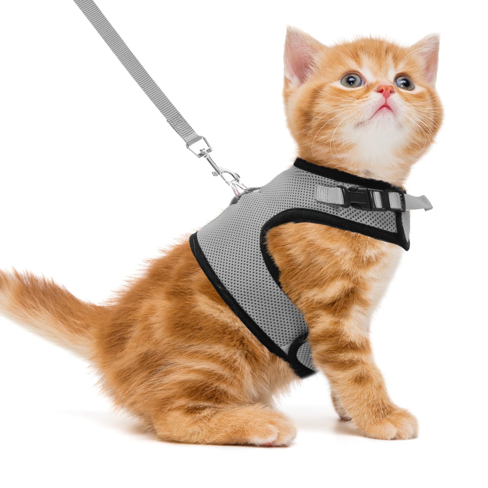 PUPTECK arnés chaleco malla suave para gato, cómodo para paseos diarios.