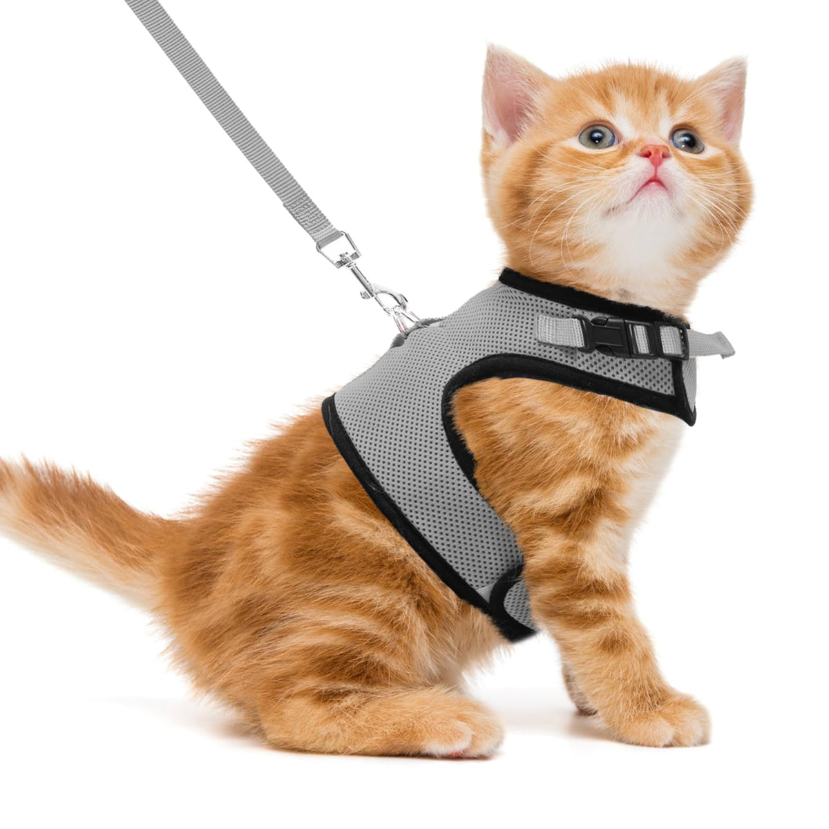 PUPTECK arnés chaleco malla suave para gato, cómodo para paseos diarios.