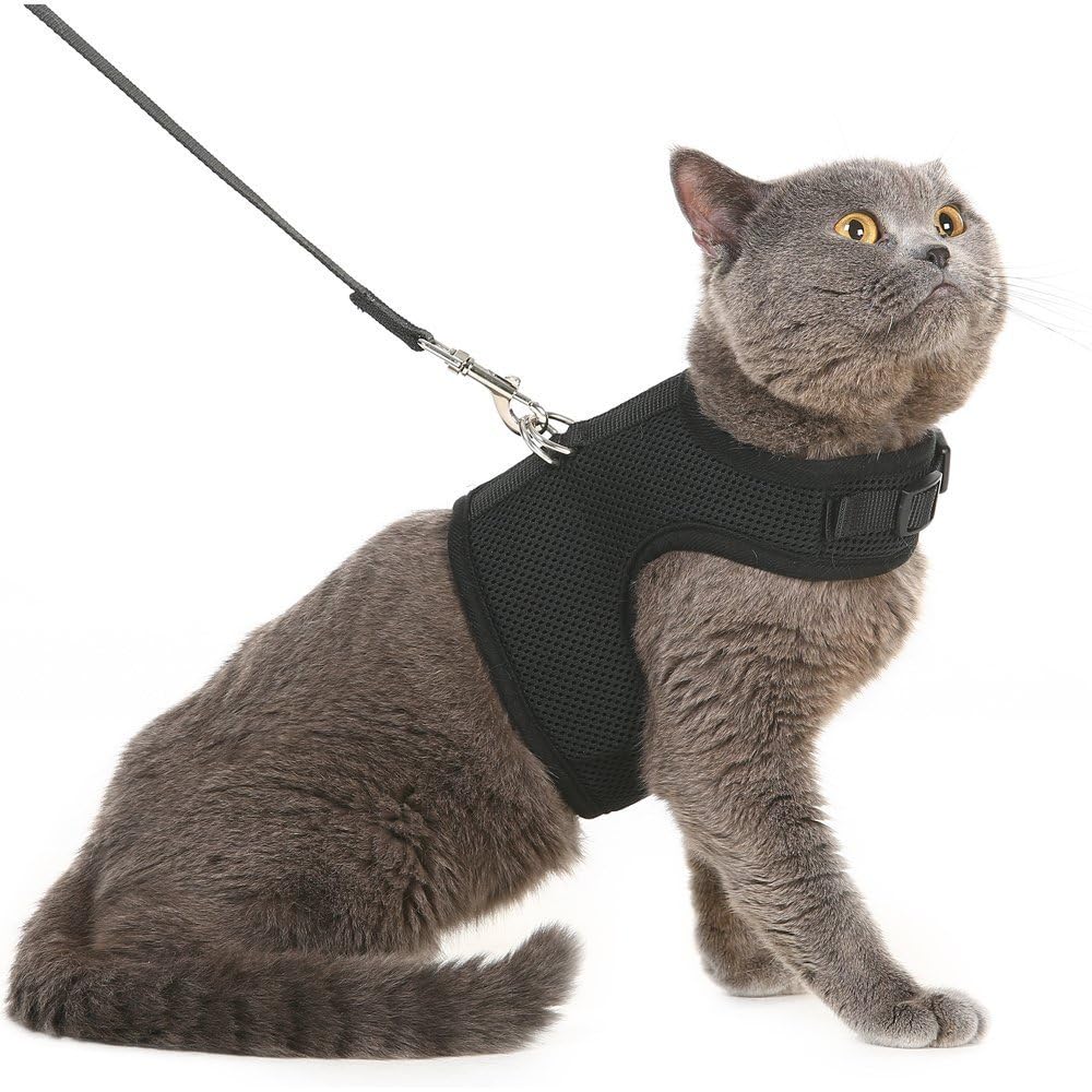 Arnés chaleco de malla suave PUPTECK para gatos, cómodo para paseos diarios.